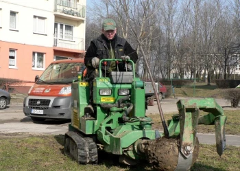 Sadzenie i przesadzanie drzew