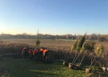 Sadzenie i przesadzanie drzew