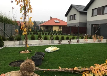 Sadzenie i przesadzanie drzew