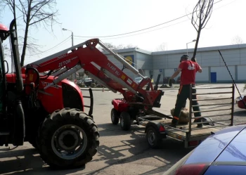 Sadzenie i przesadzanie drzew