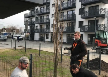 Sadzenie i przesadzanie drzew