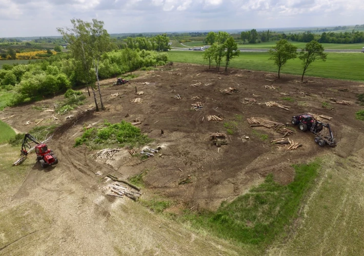 Wylesienia pod inwestycje