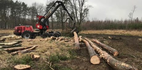 Wylesienia pod inwestycje