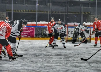 Zdjęcie 17.01.2026, 17 25 51